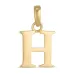 letter h hanger in 9 karaat goud