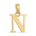 letter n hanger in 9 karaat goud