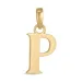 letter p hanger in 9 karaat goud