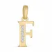 letter f zirkoon hanger in 9 karaat goud