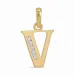 letter v zirkoon hanger in 9 karaat goud