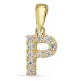 letter p hanger in 8 karaat goud