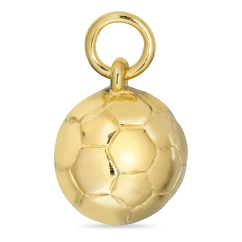 Voetbal hanger in verguld sterlingzilver